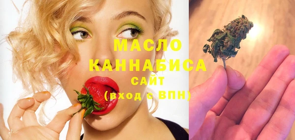 spice Михайлов