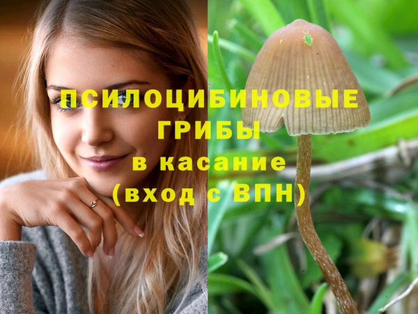 spice Михайлов