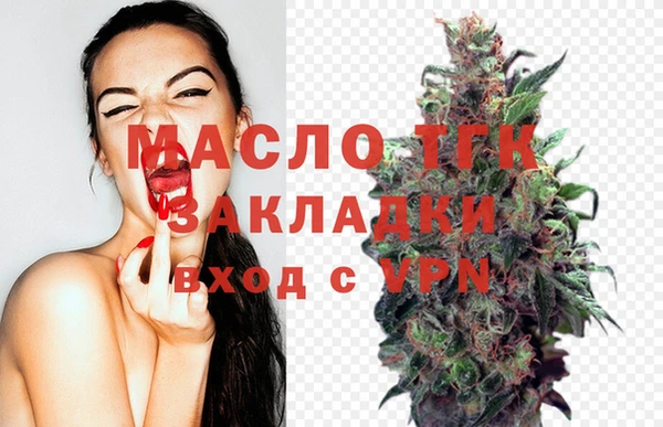 spice Михайлов
