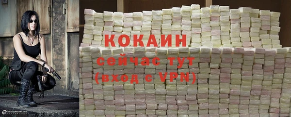 spice Михайлов