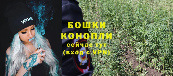 шишки Апатиты