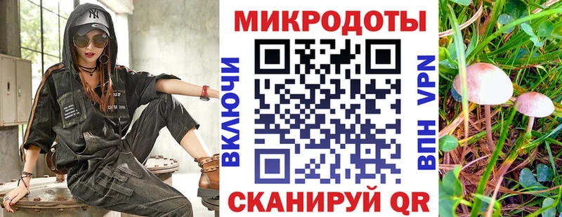 Купить закладки  Суворов  Псилоцибиновые грибы GOLDEN TEACHER 