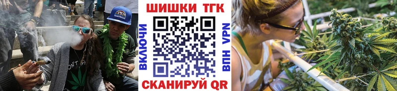 Купить  Суворов  Шишки марихуана MAZAR 